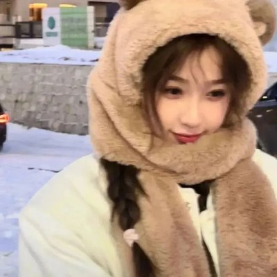 狐及其友